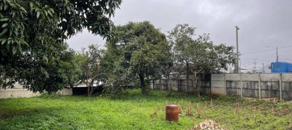 terreno en venta en Alajuela, Costa Rica № 1900 3