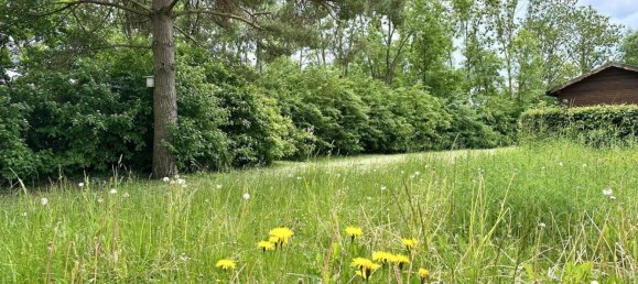 Oficina en Wels, Austria 195 m² No. 183845 3