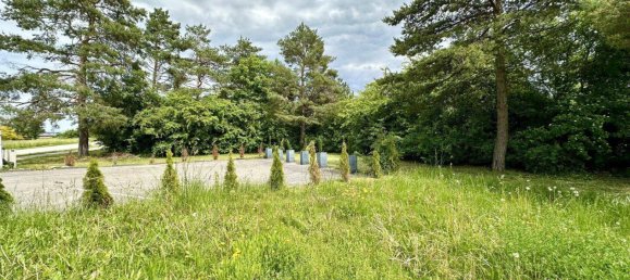 Oficina en Wels, Austria 195 m² No. 183845 4