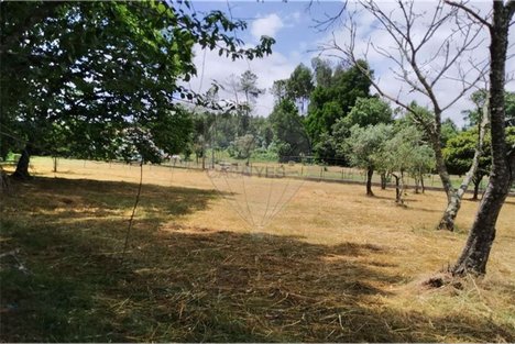 6520m² Land in Beco, Portugal No. 71636