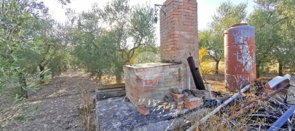 3766m² Land in Lucera, Italy No. 257667 5