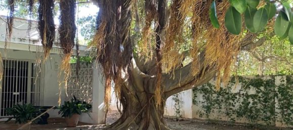 4 bedrooms Villa in Marbella, Spain No. 140756 18