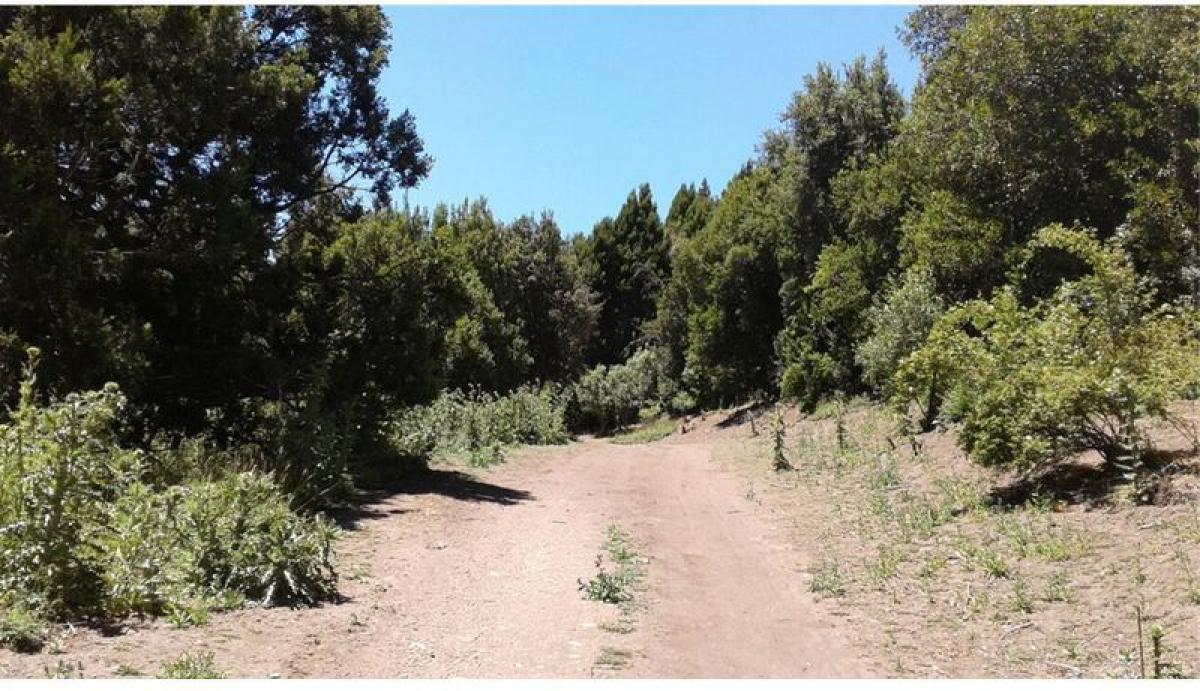  Land in Neuquen, Argentina No. 39248