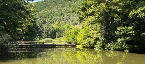 4 rooms Bungalow in Seebenstein, Austria No. 127745 16