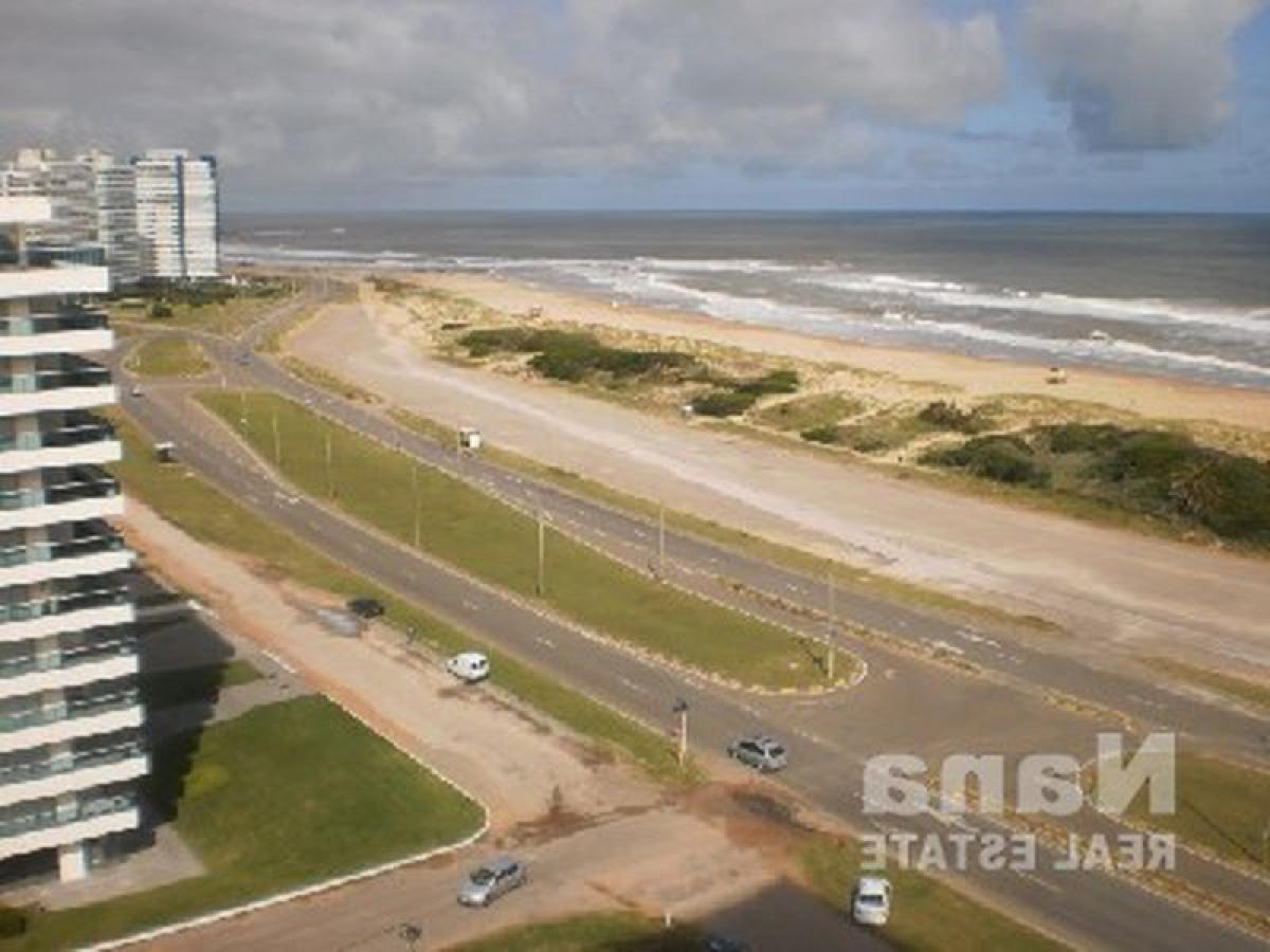 Квартира с 3 спальнями в Мальдонадо, Уругвай № 3732