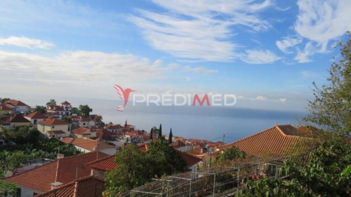 4 غرف نوم منزل في Funchal, Portugal رقم 477