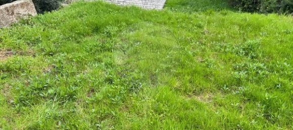 Casa de 3 dormitorios en Mangualde, Portugal No. 28671 4