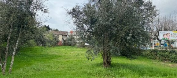 Casa de 3 dormitorios en Mangualde, Portugal No. 28671 5
