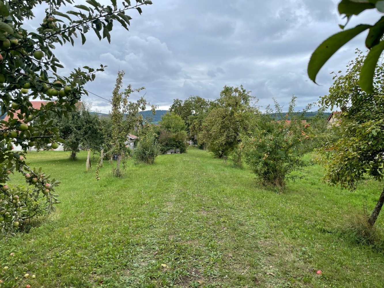 Terreno em Ostalbkreis, Germany N.º 346624