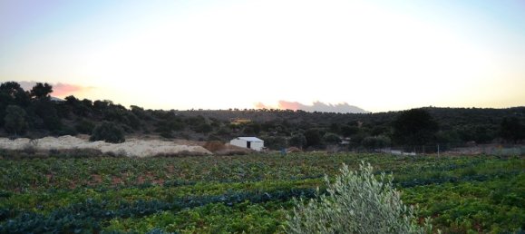 12500m² Hotel in Hersonissos, Greece No. 5945 3