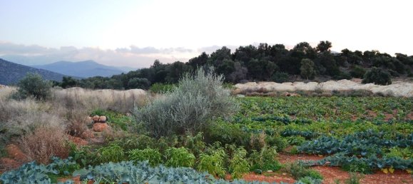 12500m² Hotel in Hersonissos, Greece No. 5945 6