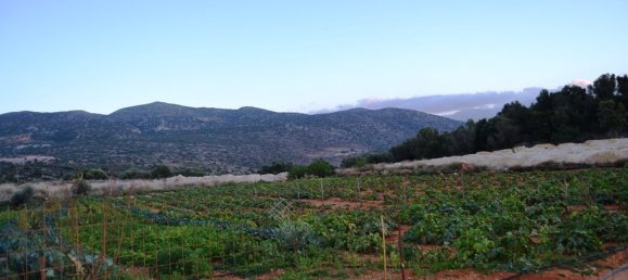 12500m² Hotel in Hersonissos, Greece No. 5945 7