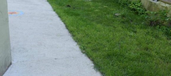 5-salle Appartement à Waidhofen an der Ybbs, Austria No. 185821 4