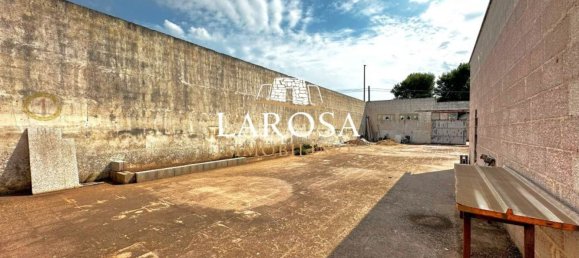 5 غرف نوم منزل في Melendugno, Italy رقم 315275 7