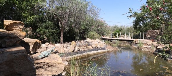 Casa T7 em Catral, Spain N.º 185206 51