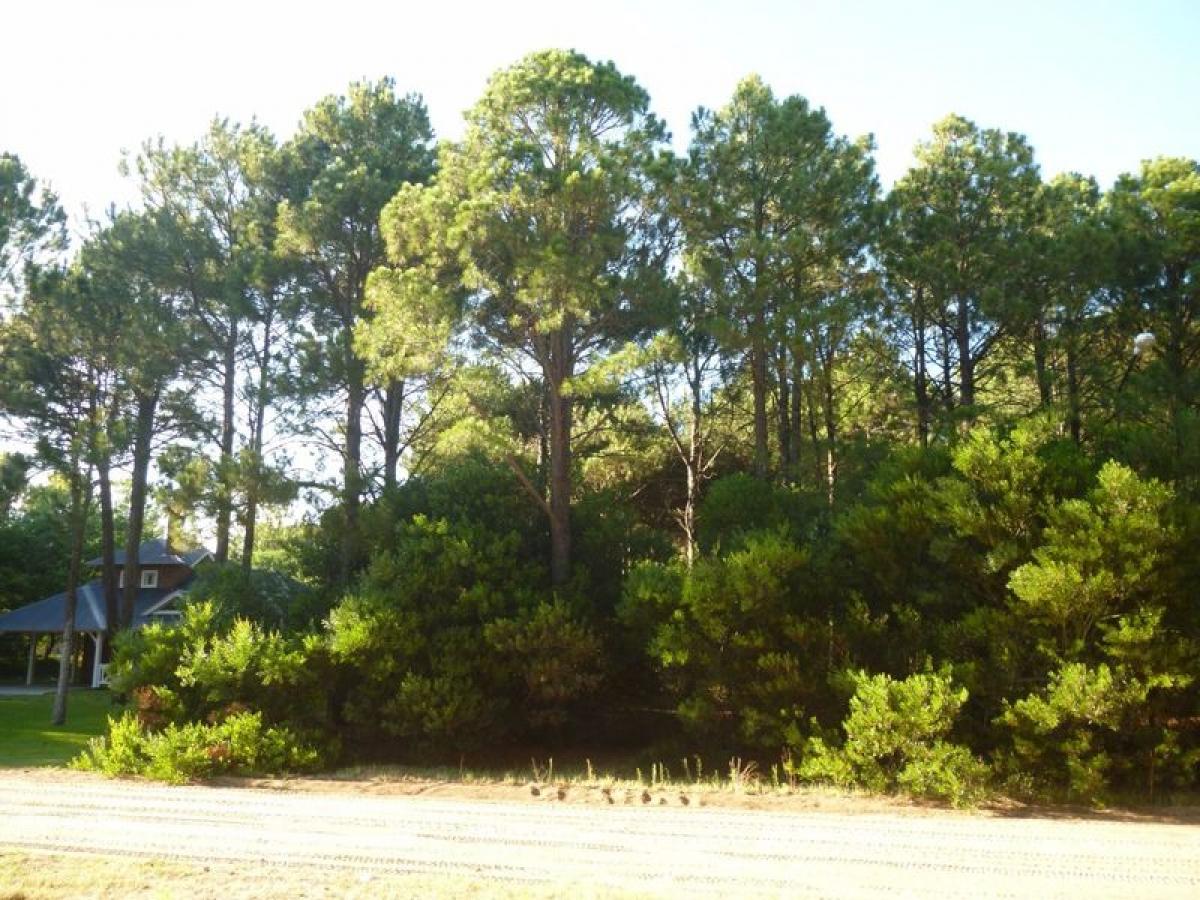  Land in Mar del Plata, Argentina No. 114984