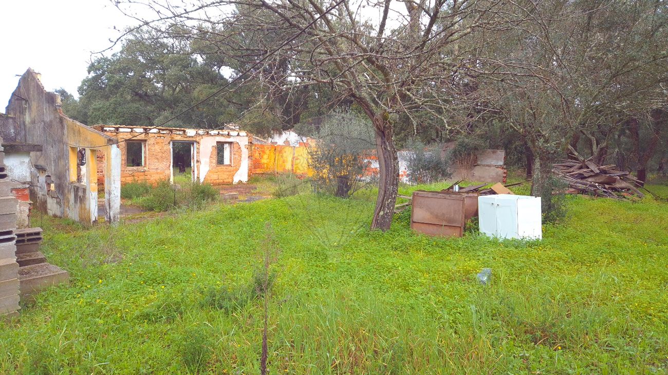 2 bedrooms House in Chamusca, Portugal No. 164798