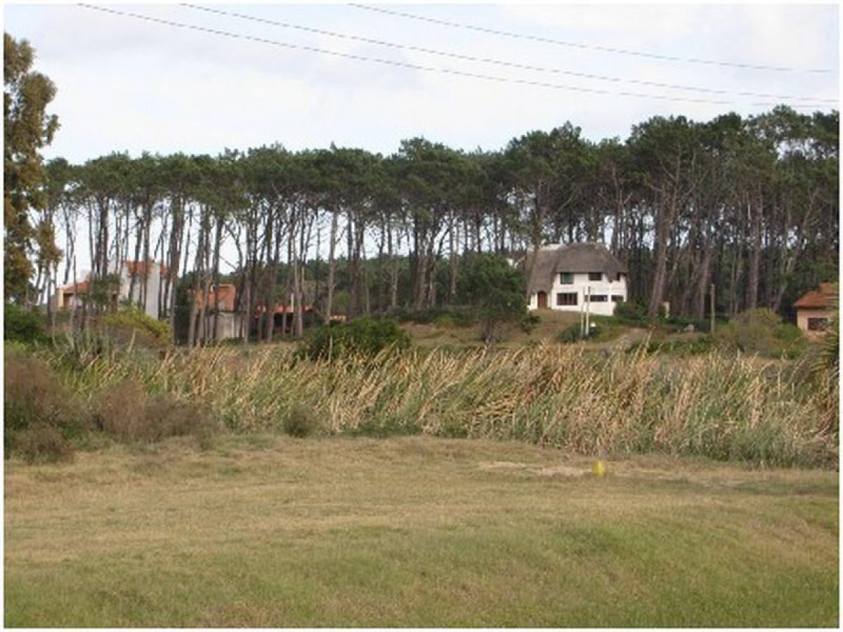  قطعة أرض في Maldonado, Uruguay رقم 15800