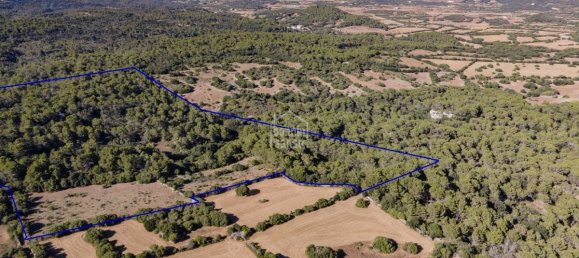 8 Schlafzimmer Finca in Alaior, Spain, Nr. 5151 13