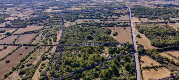 8 Schlafzimmer Finca in Alaior, Spain, Nr. 5151 12