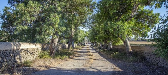 8 Schlafzimmer Finca in Alaior, Spain, Nr. 5151 17