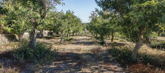 8 Schlafzimmer Finca in Alaior, Spain, Nr. 5151 19