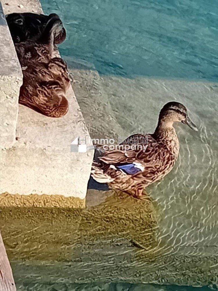 2-Zimmer Haus in Atzenbrugg, Austria, Nr. 230754