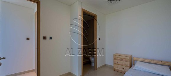 4 bedrooms Villa in Saadiyat Island, UAE No. 29773 12