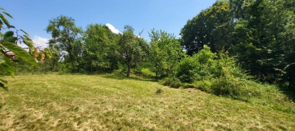 Terrain à Furstenfeld, Austria No. 129632 11