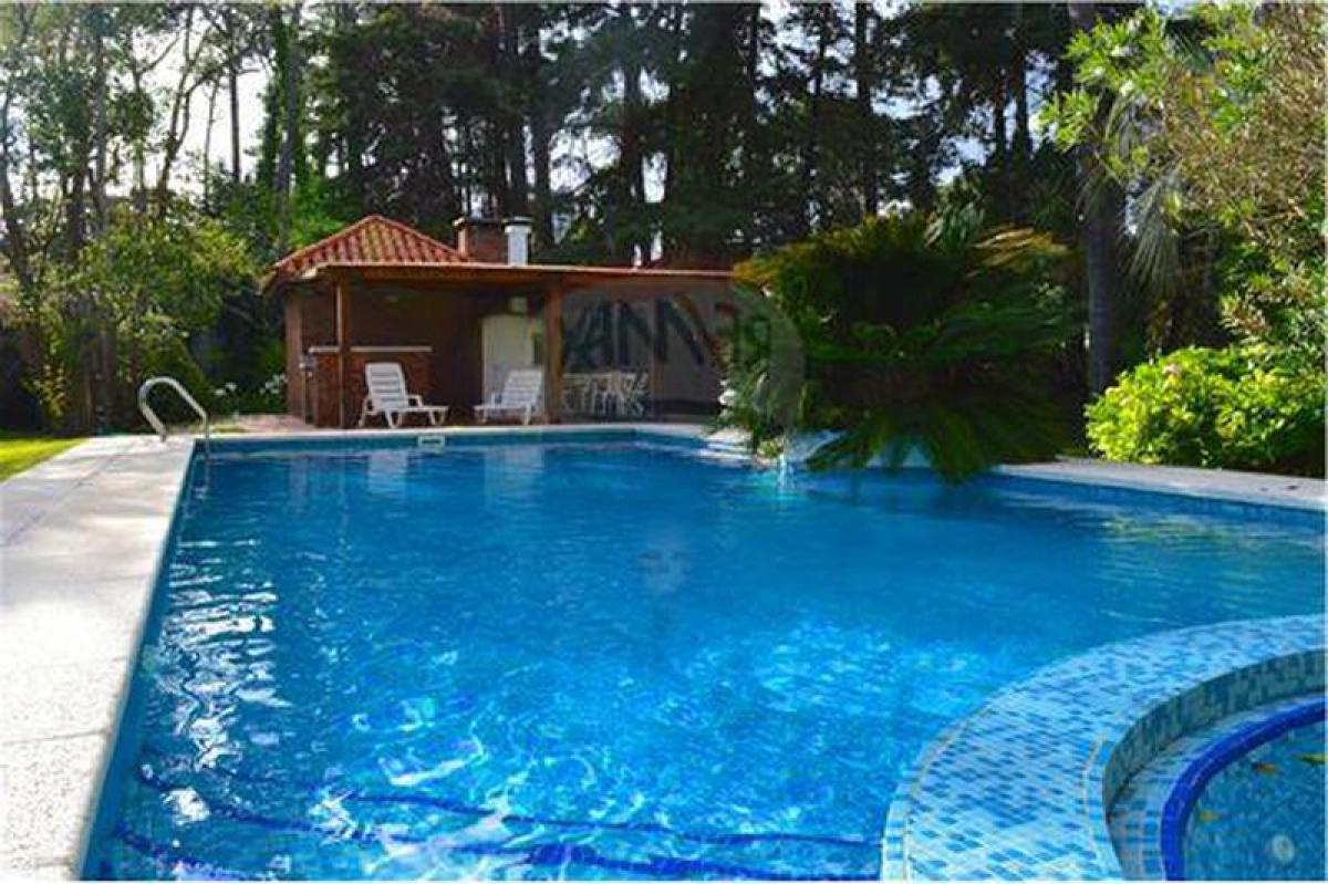 Дом с 4 спальнями в Пунта-дель-Эсте, Уругвай № 8412