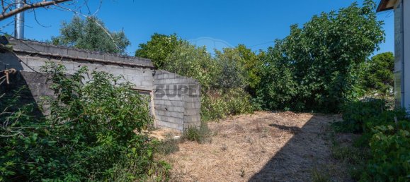 3 Schlafzimmer Haus in Mortagua, Portugal, Nr. 308460 14