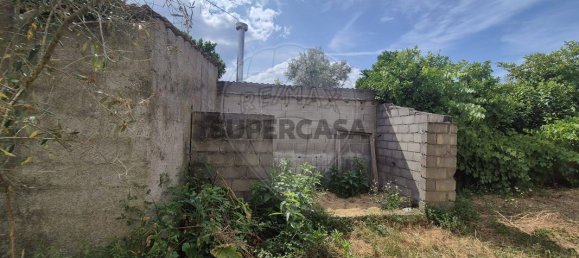 3 Schlafzimmer Haus in Mortagua, Portugal, Nr. 308460 13