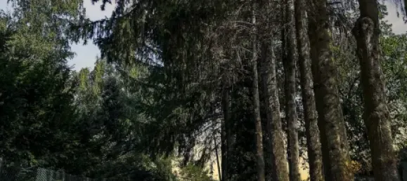 3 chambres Entrepôt à Rastatt, Germany No. 17402 5