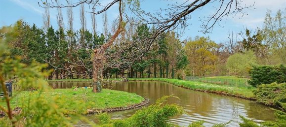 3 bedrooms House in La Ferte-Saint-Cyr, France No. 75626 3