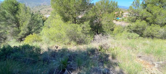 Grundstück in Alhaurin el Grande, Spain 2806m², Nr. 126097 51