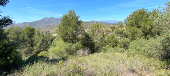 Grundstück in Alhaurin el Grande, Spain 2806m², Nr. 126097 44