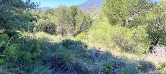 Grundstück in Alhaurin el Grande, Spain 2806m², Nr. 126097 48