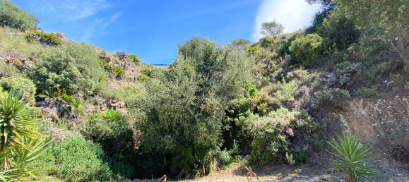 Grundstück in Alhaurin el Grande, Spain 2806m², Nr. 126097 11