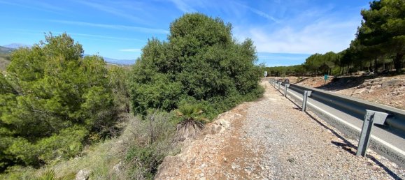 Grundstück in Alhaurin el Grande, Spain 2806m², Nr. 126097 60