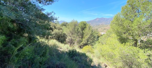 Grundstück in Alhaurin el Grande, Spain 2806m², Nr. 126097 45