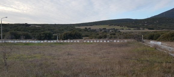 1612m² Hotel in Thermi, Greece No. 3726 3