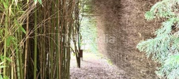12 chambres Maison à Cantabria, Spain No. 172433 46