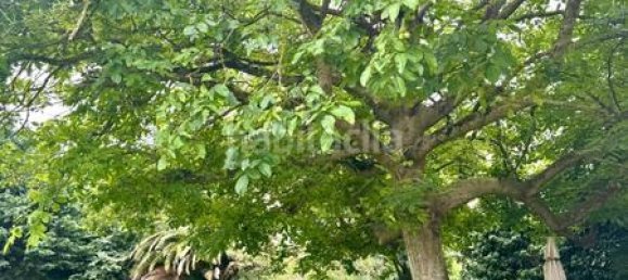 12 chambres Maison à Cantabria, Spain No. 172433 19