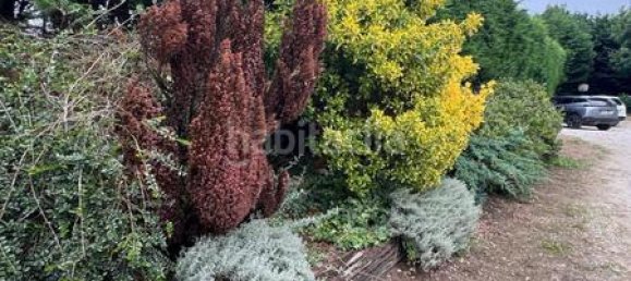 12 chambres Maison à Cantabria, Spain No. 172433 21