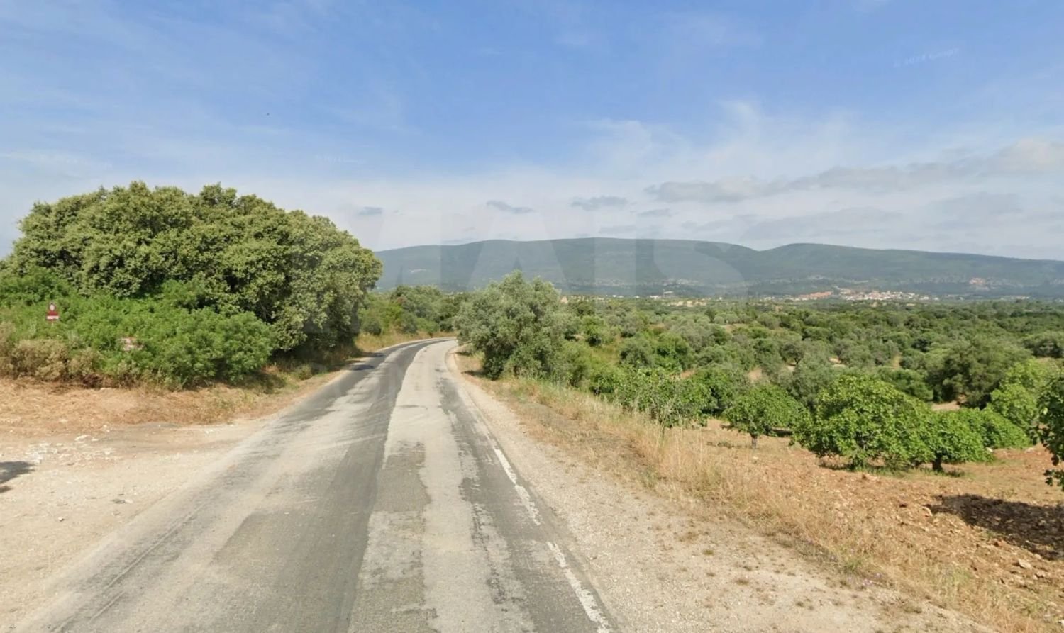 8320m² Land in Torres Novas, Portugal No. 319239