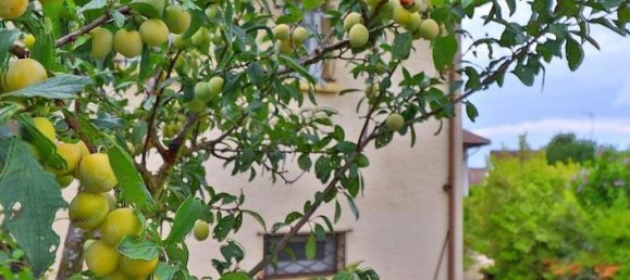 3 bedrooms House in Audincourt, France No. 309001 4