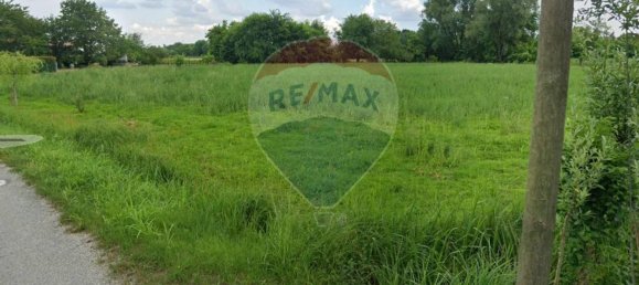 3 غرف نوم منزل في Camisano Vicentino, Italy رقم 362035 50