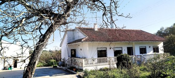 4 bedrooms House in Torres Novas, Portugal No. 21937 13
