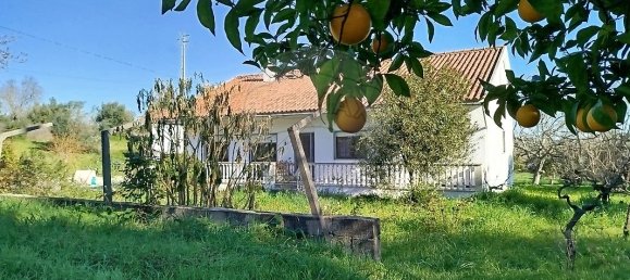 4 bedrooms House in Torres Novas, Portugal No. 21937 44