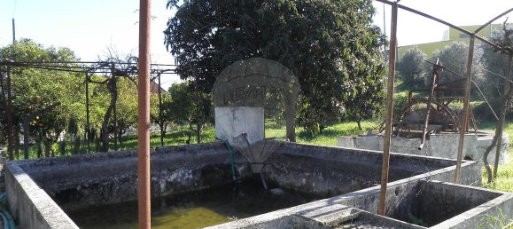 4 bedrooms House in Torres Novas, Portugal No. 21937 17